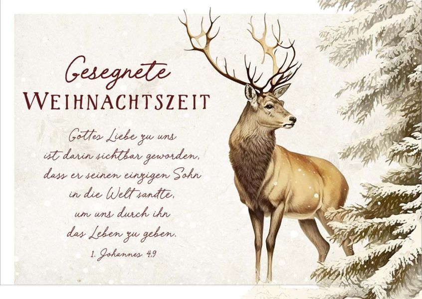 Postkartenserie "Gesegnete Weihnachtszeit"/Hirsch 12 Stk.