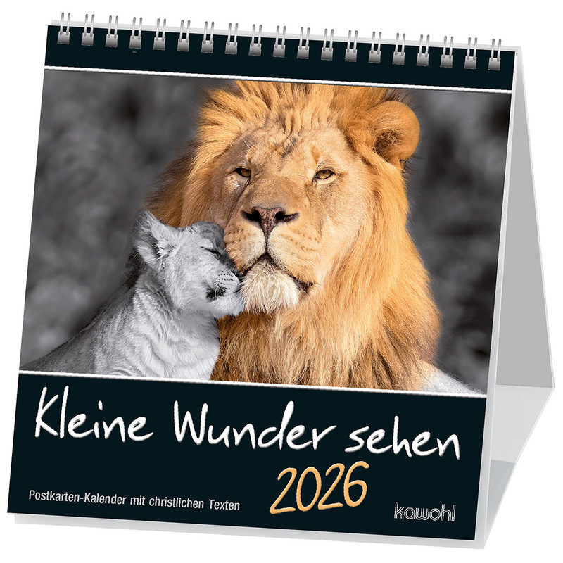 Kleine Wunder sehen 2026 - Postkartenkalender