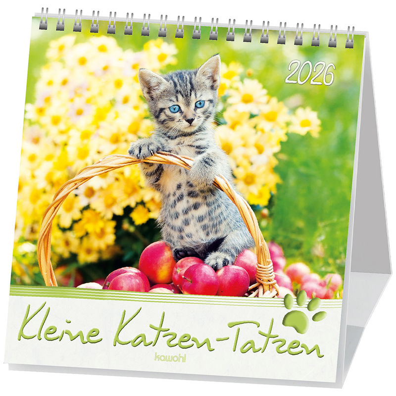 Kleine Katzen-Tatzen 2026 - Postkartenkalender