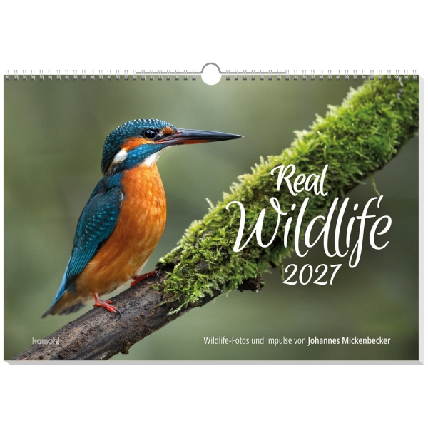 Real Wildlife 2027 - Wandkalender