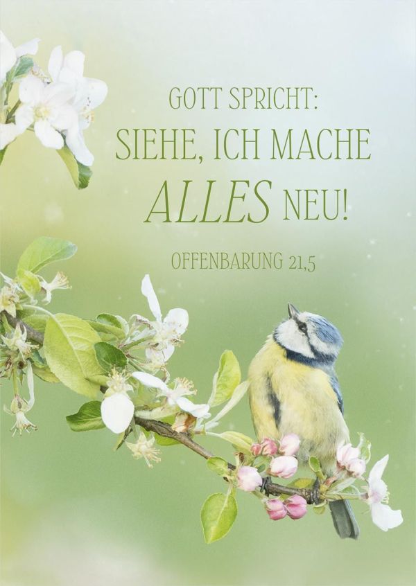 Jahreslosung 2026 - Poster A3 "Vogel"