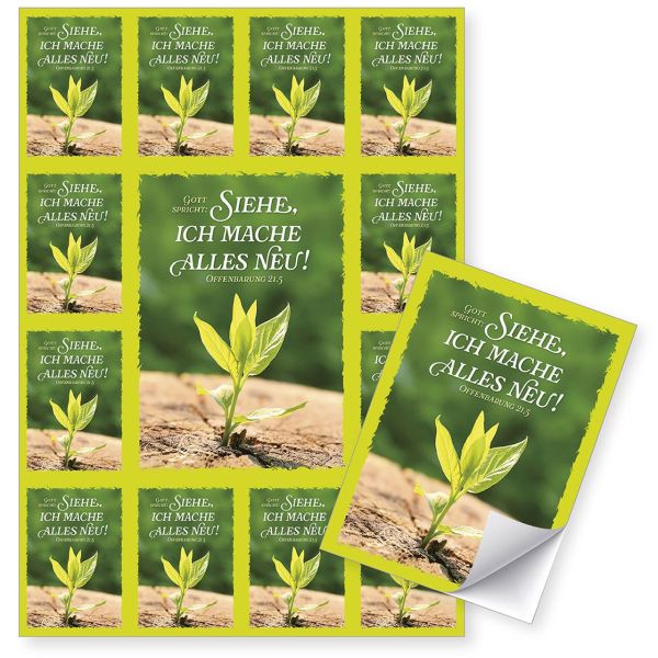 Jahreslosung 2026 - Aufkleber-Grußkarten, 4 Stk