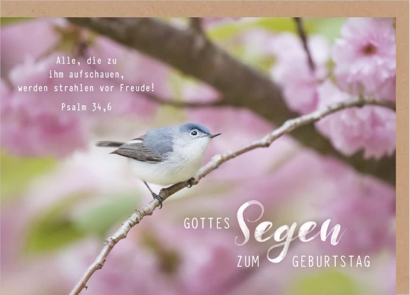 Faltkarte "Gottes Segen zum Geburtstag" - Vogel