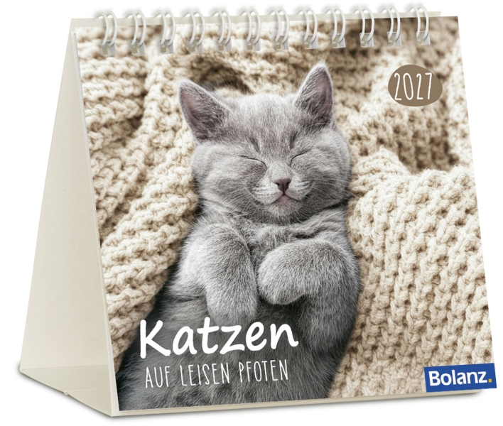 Katzen 2027 - Minikalender