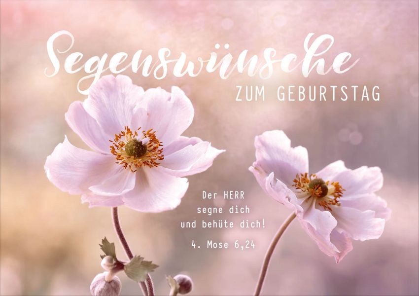 Faltkarte "Segenswünsche zum Geburtstag" - Blumen