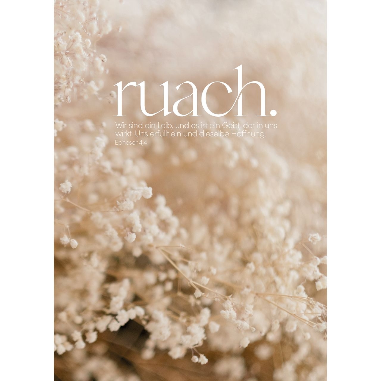 Postkarten: ruach. 4 Stück