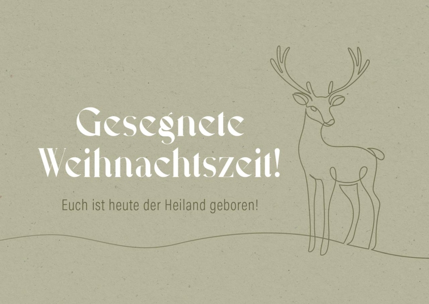 Postkarten "Gesegnete Weihnachtszeit" 12 Stk.