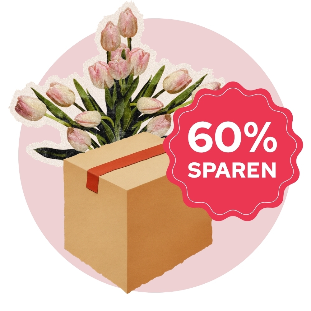 Überraschungspaket Romane 2026