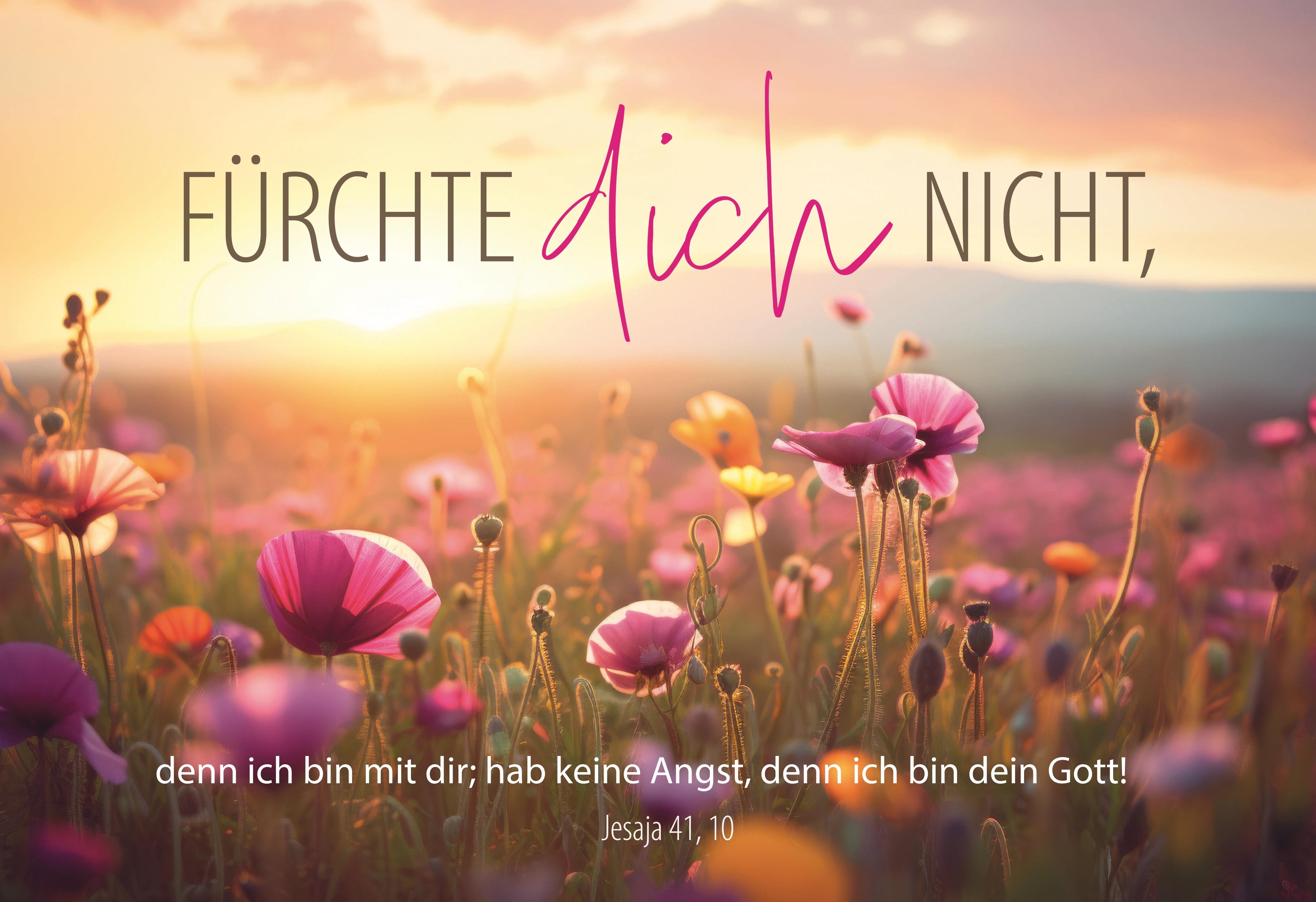 Jahreslosung 2027 - Postkarten "Blumen" 10er Set